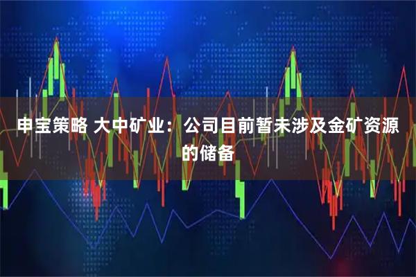 申宝策略 大中矿业：公司目前暂未涉及金矿资源的储备